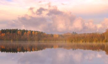 Photo of a Forest Lake