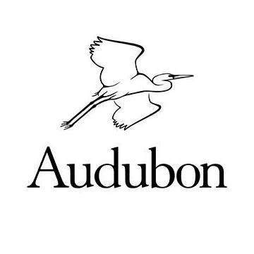 Audubon Connecticut Logo