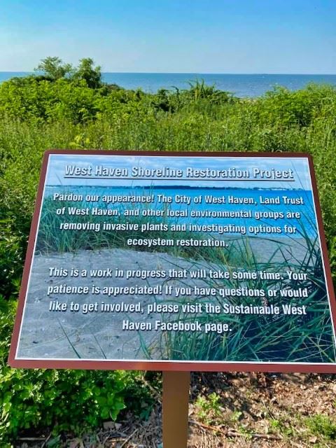 Shoreline Restoration Sign II (Small)