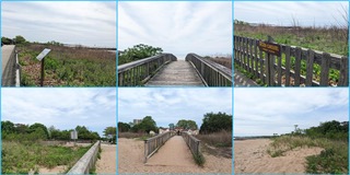 Boardwalk Eco-Restoration Project