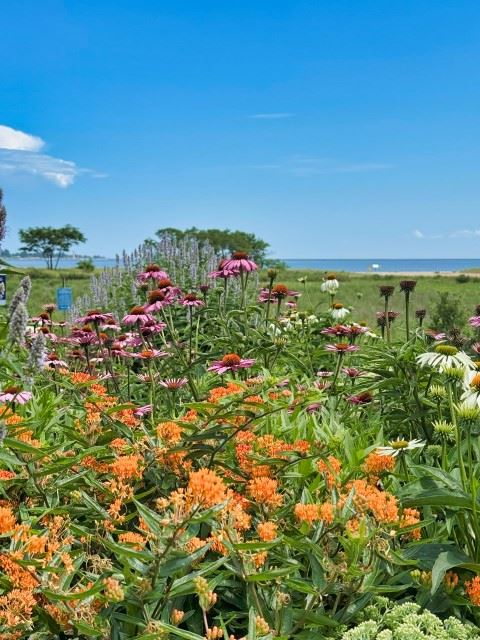 Sandy Point Page Photo 3 II (Small)